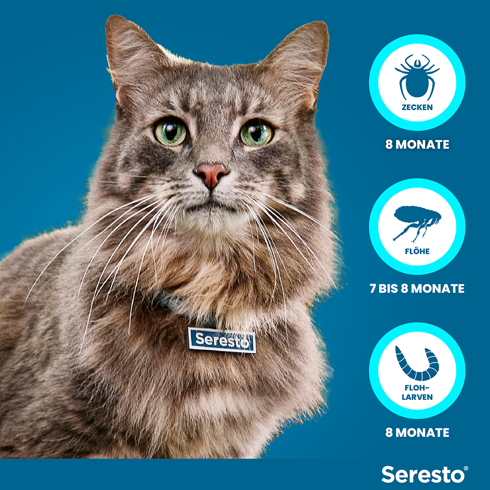 SERESTO HALSBAND F KATZEN 1 St Halsband