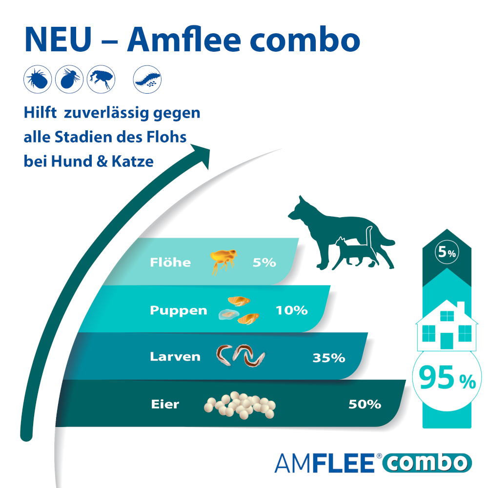 AMFLEE combo Katze 3 St Lösung