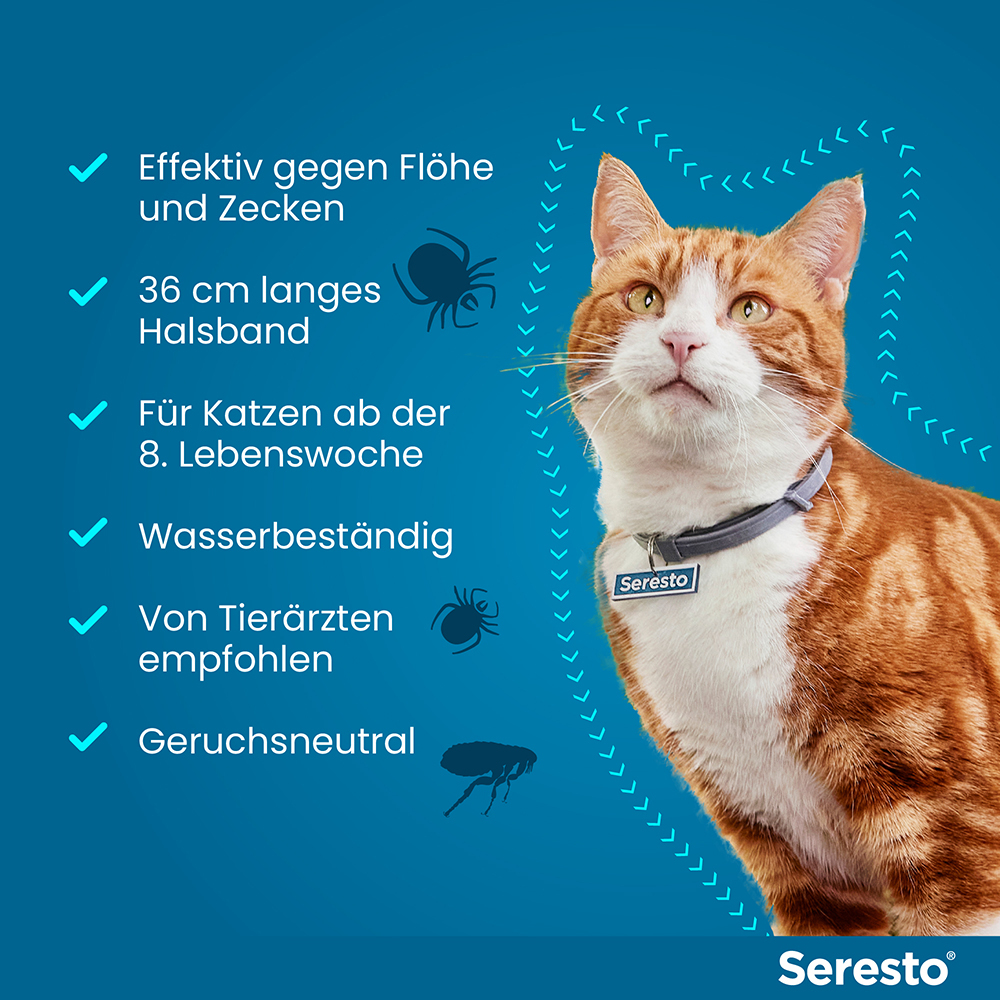 SERESTO HALSBAND F KATZEN 1 St Halsband