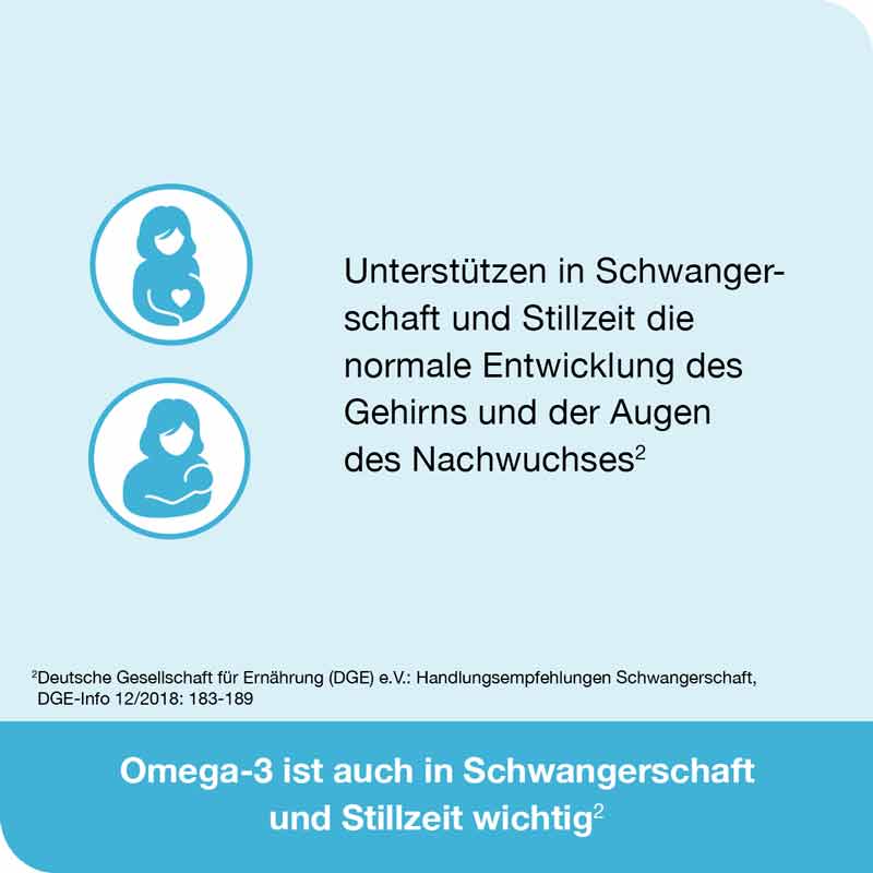 omega3-Loges pflanzlich 120 St Kapseln