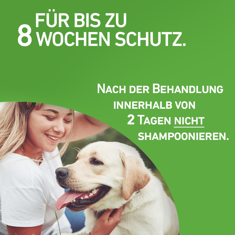 FRONTLINE COMBO gegen Zecken, Flöhe (Flöhe, Eier, Larven, Puppen) bei Hunden XL (40-60Kg) 3 St Lösung