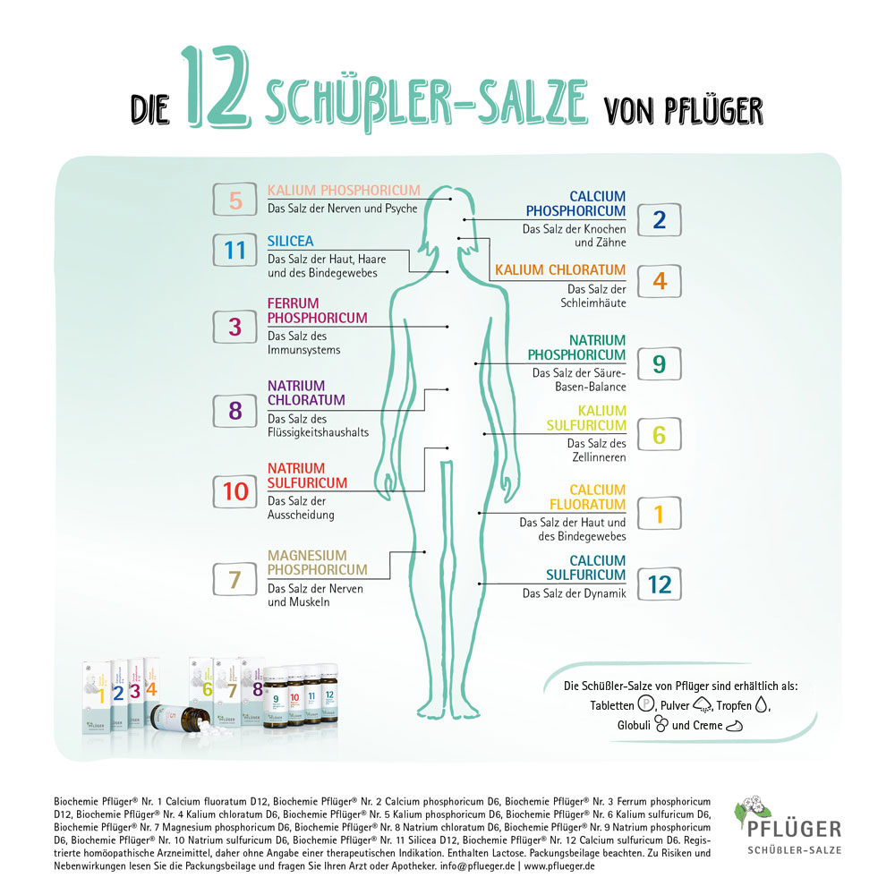 Biochemie / Schüßler-Salze Pflüger Haus- und Reiseapotheke Nr. 1-12 - 12 x 100 Tabl. Nr. 1 + Nr. 11 Creme à 75 g 1 St Kombipackung