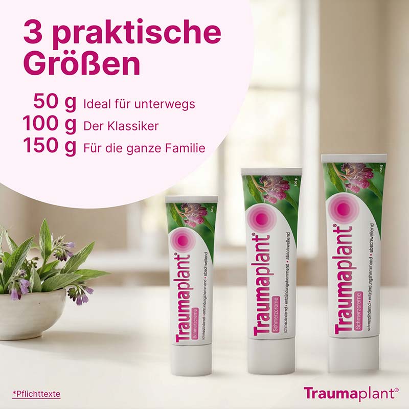 Traumaplant Schmerzcreme 100 g Creme