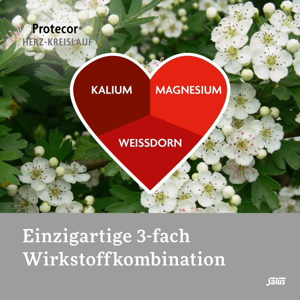PROTECOR Herz-Kreislauf Tabl.z.Funktionsunt.Salus 50 St Überzogene Tabletten