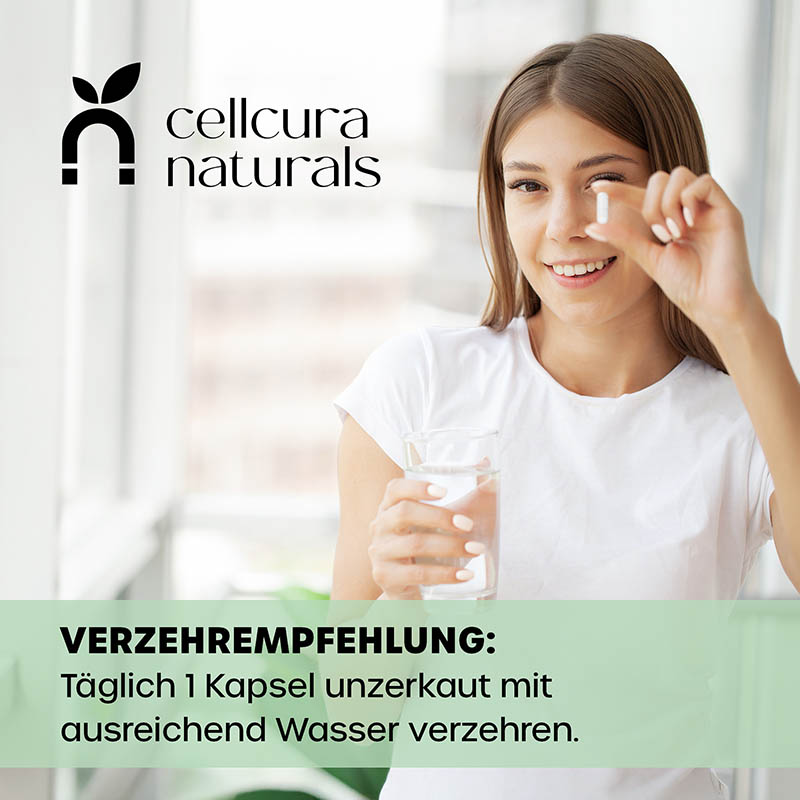 cellcura naturals VITAMIN B KOMPLEX 120 St Kapseln