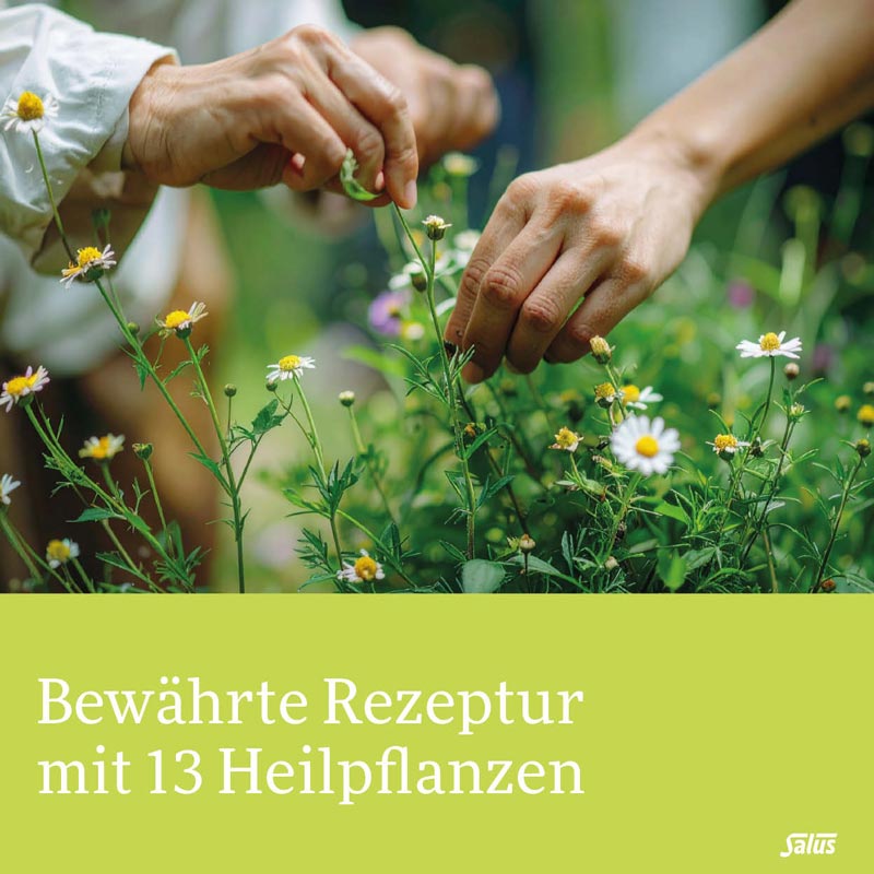 Gallexier Kräuterbitter Elixier 3X20 ml Flüssigkeit zum Einnehmen