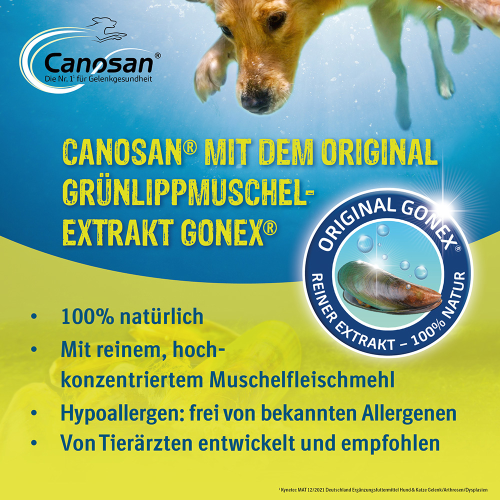 CANOSAN Kautabletten bei Gelenkproblemen Hund mit Grünlippmuschel-Extrakt Gonex 30 St Kautabletten