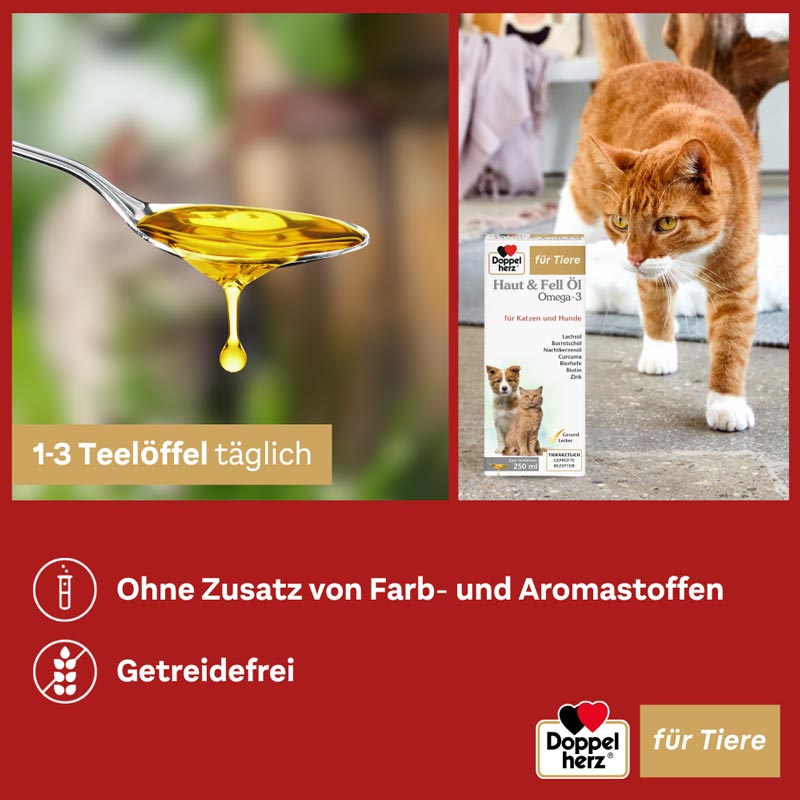 Doppelherz Haut & Fell Öl Omega-3 für Katzen und Hunde 250 ml Flüssigkeit
