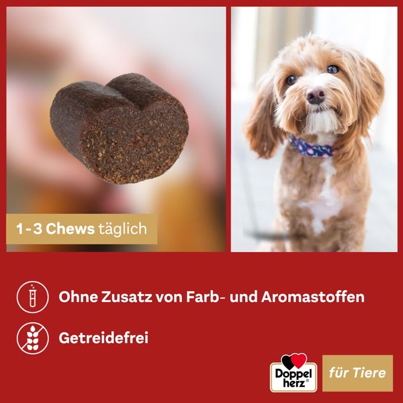 Doppelherz Haut & Fell Complex für Hunde 60 St Kautabletten