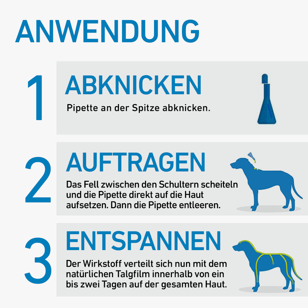 FRONTLINE SPOT-ON für Hunde L (20-40 kg) gegen Zecken, Flöhe und Haarlinge 6 St Lösung