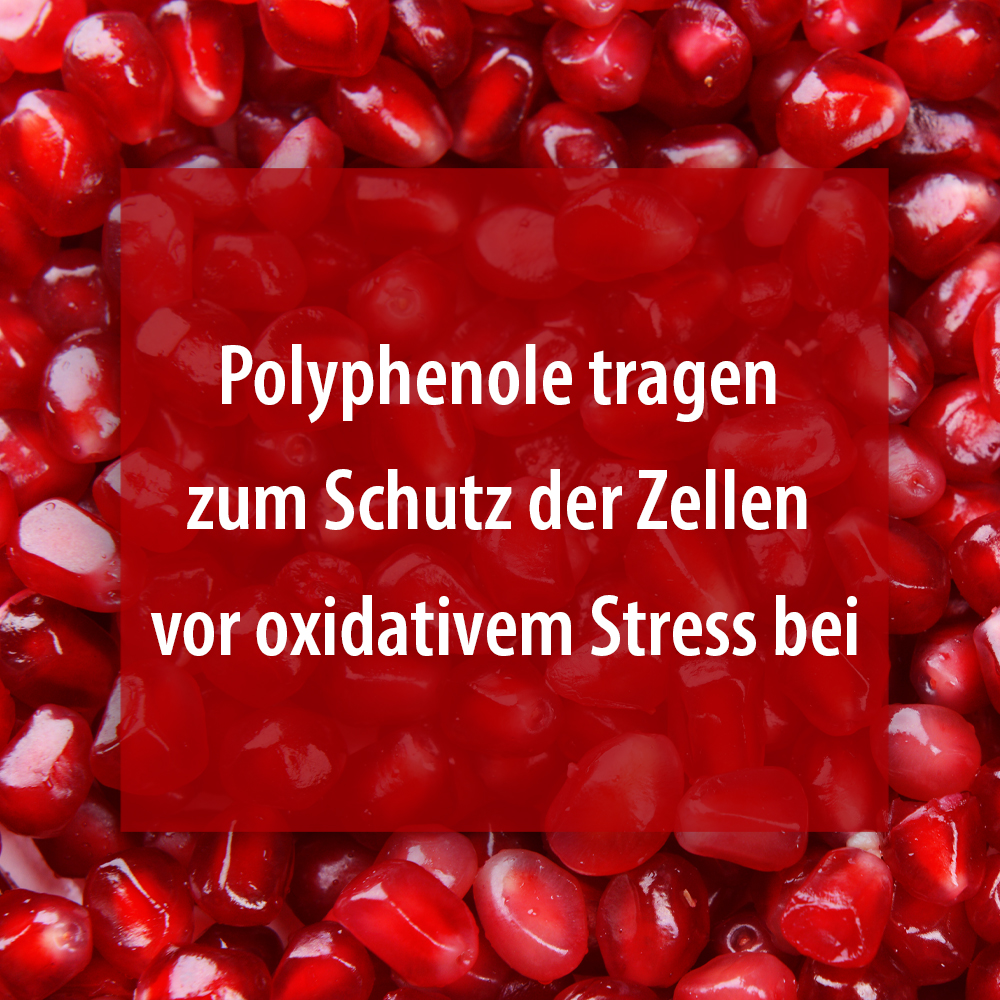 GRANATAPFEL EXTRAKT Kapseln 90 St Kapseln