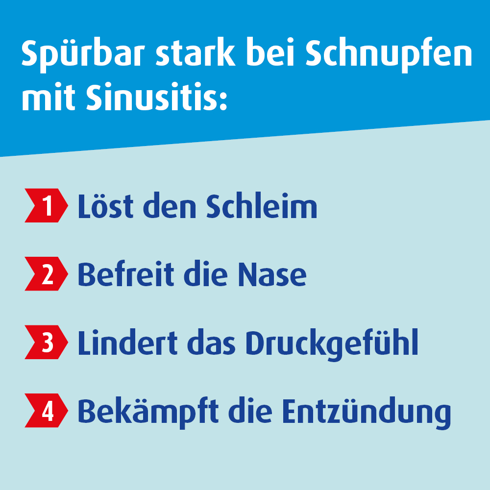 SINOLPAN FORTE 200 mg 50 St Magensaftresistente Weichkapseln