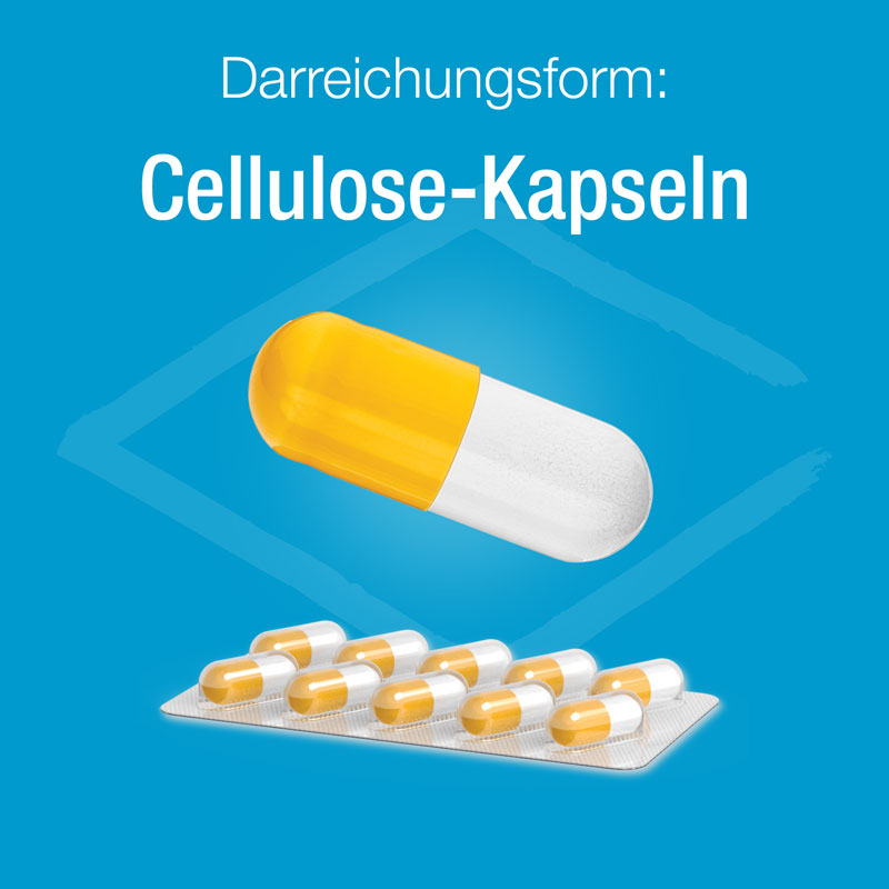 Magnesium Verla 400 complex 60 St Kapseln