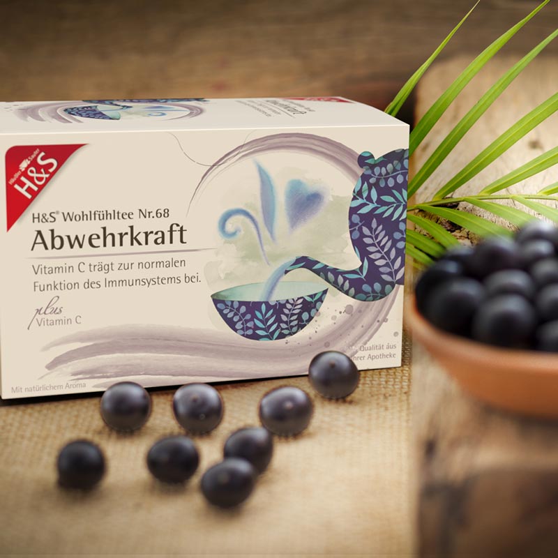 H&S Wohlfühltee Abwehrkraft Vitamin C Tee 20X1.8 g Filterbeutel