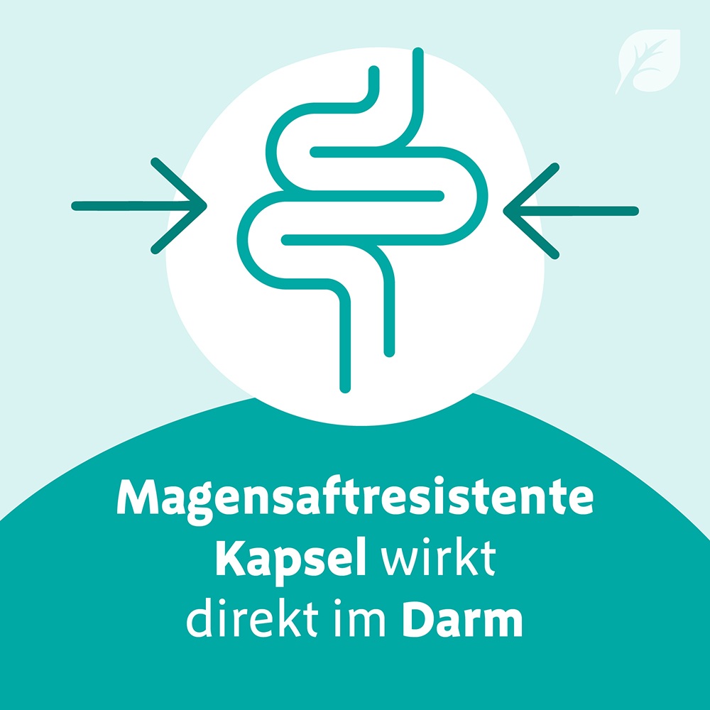 Digestopret 45 St Magensaftresistente Weichkapseln