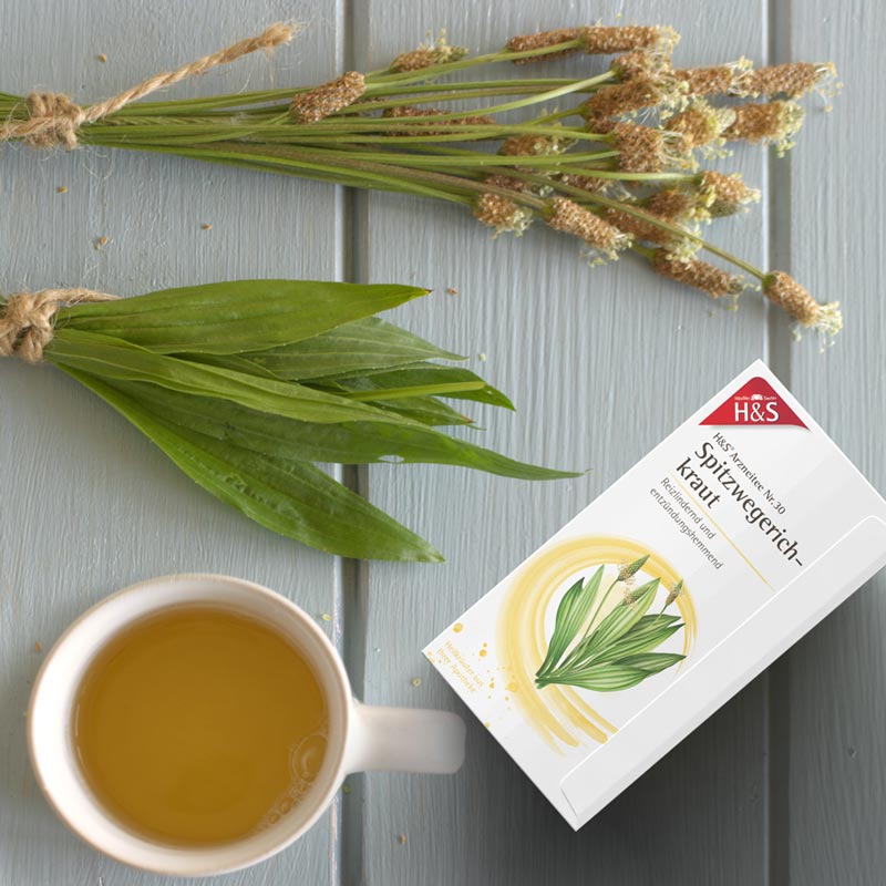 H&S Arzneitee Spitzwegerichkraut 20X1.5 g Filterbeutel