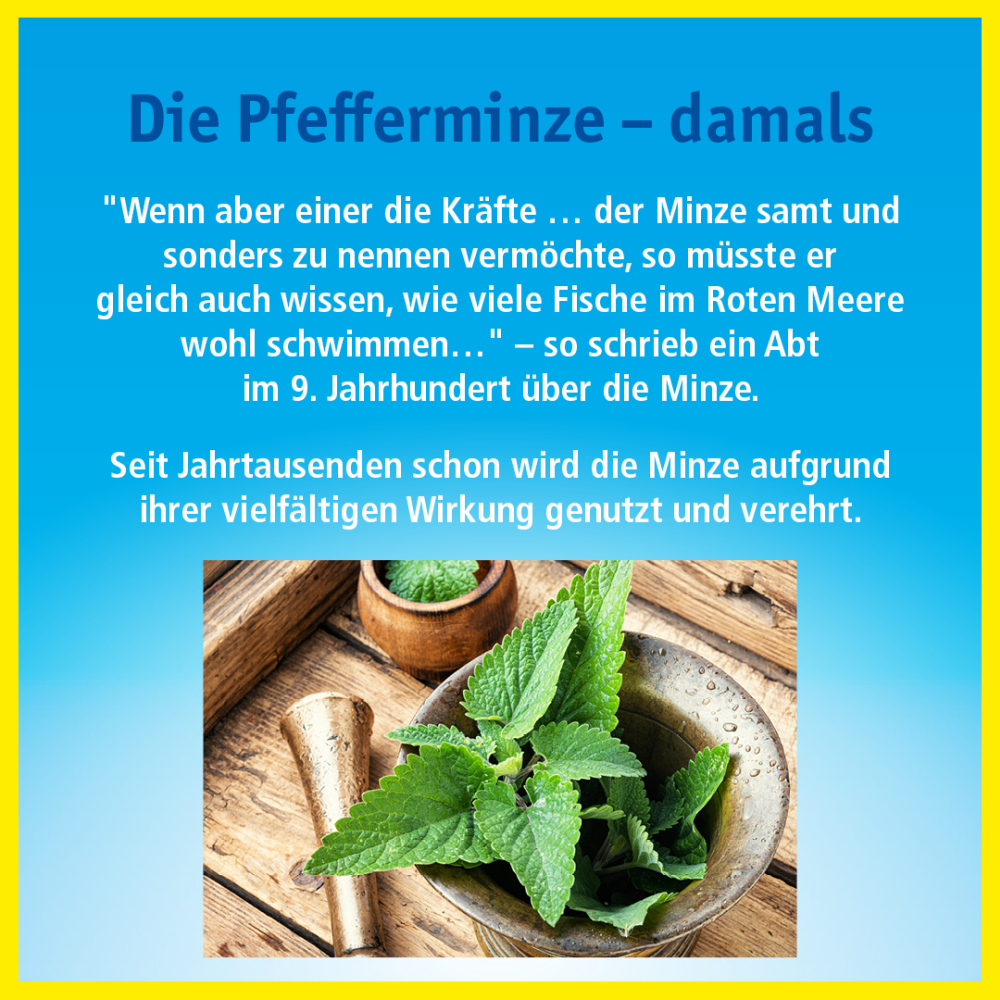 China-Oel KUTAN 10 ml Ätherisches Öl