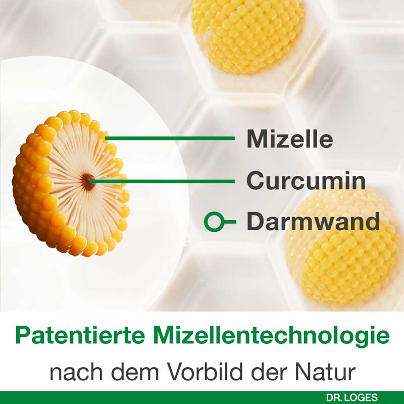 curcumin-Loges  120 St Kapseln