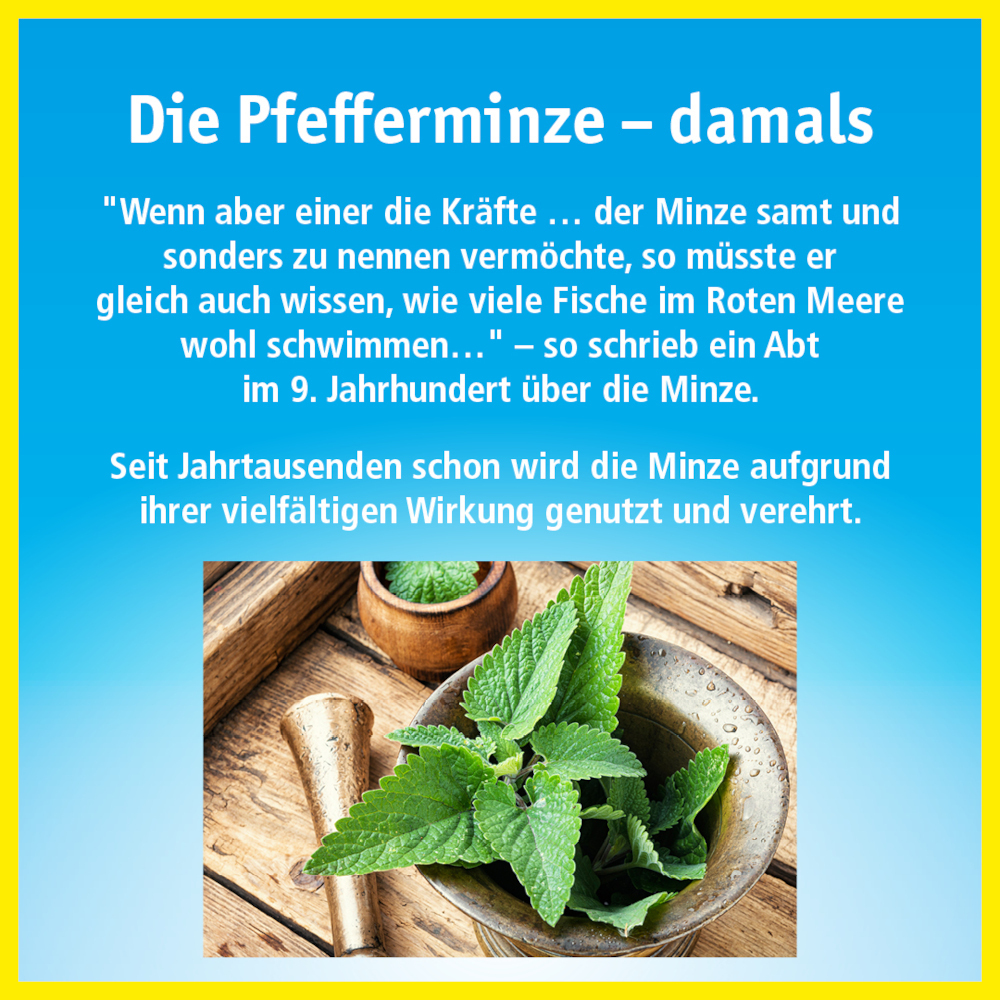 China-Öl 10 ml Ätherisches Öl