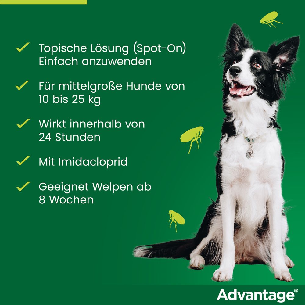ADVANTAGE 250 HUND 4 St Lösung