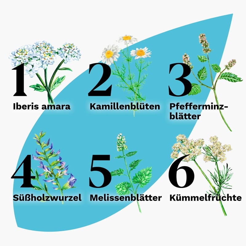 Iberogast ADVANCE 20 ml Flüssigkeit zum Einnehmen