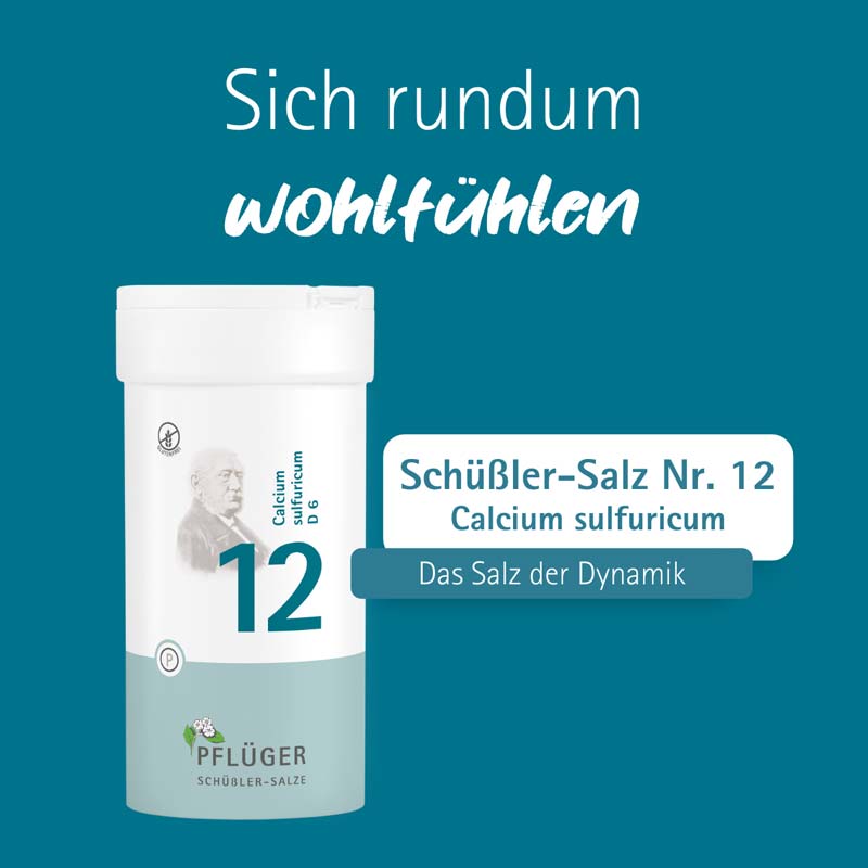 Schüßler-Salz Nr. 12 Calcium sulfuricum D6 400 St Tabletten
