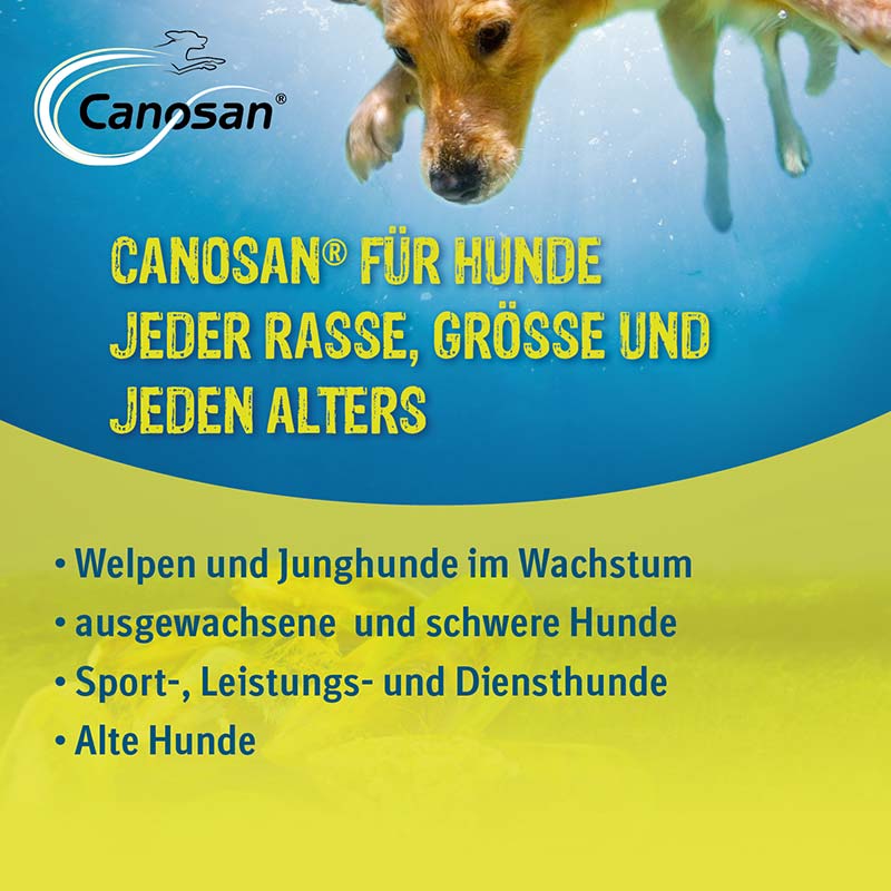 Canosan - Zur Unterstützung der Gelenke & des Bindegewebes für Hunde mit Grünlippmuschel-Extrakt Gonex 1300 g Konzentrat