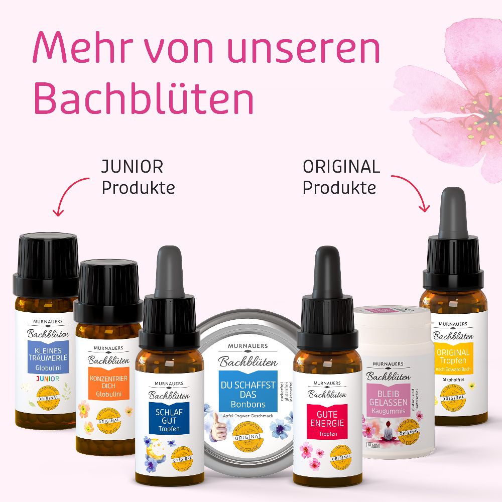 MURNAUERS Bachblüten Bleib gelassen Kaugummi 74 g Kaugummi