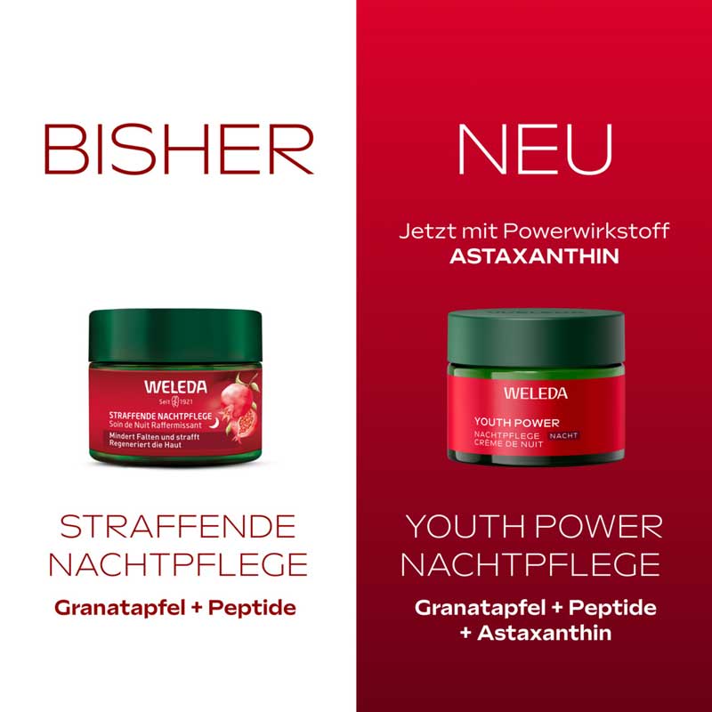 WELEDA YOUTH POWER NACHTCREME 40 ml Nachtcreme