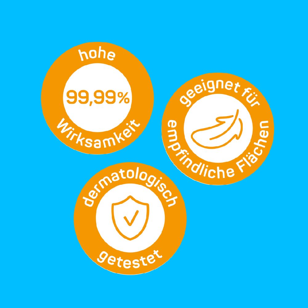 Sterillium surface spray 250 ml Spray