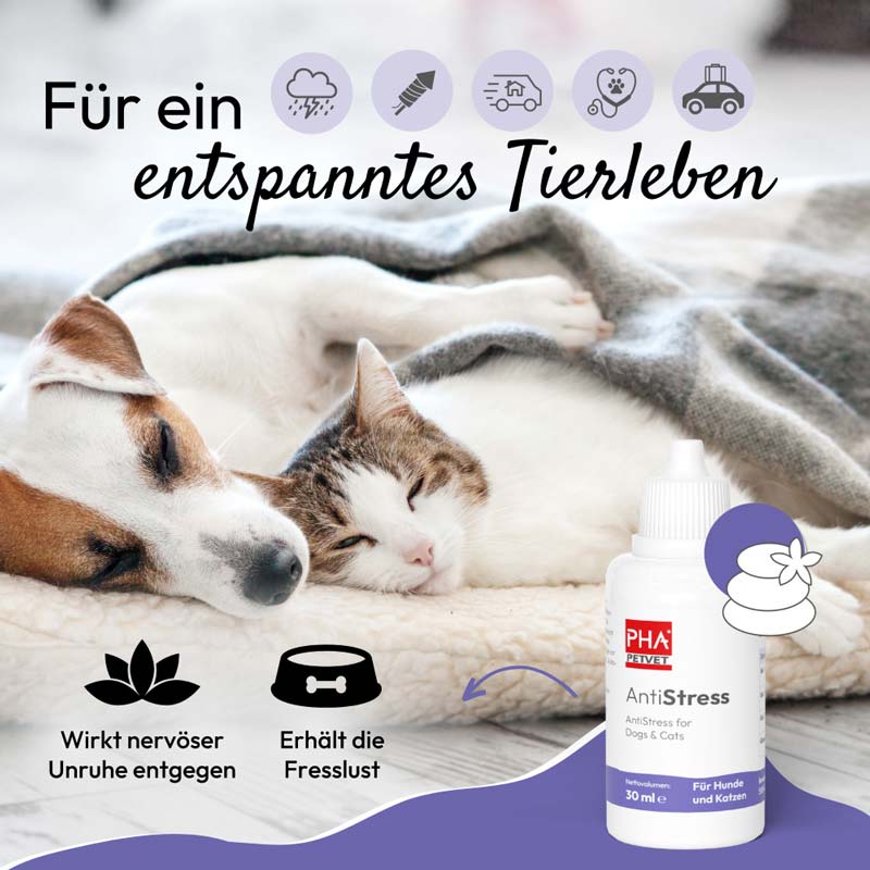 PHA AntiStress Tropfen für Hunde & Katzen 30 ml Tropfen