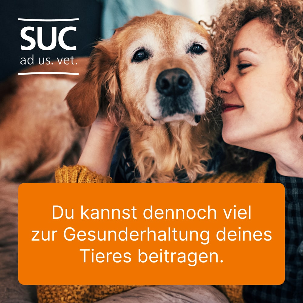 Heel Vet SUC-Bundle 1 St Sparset