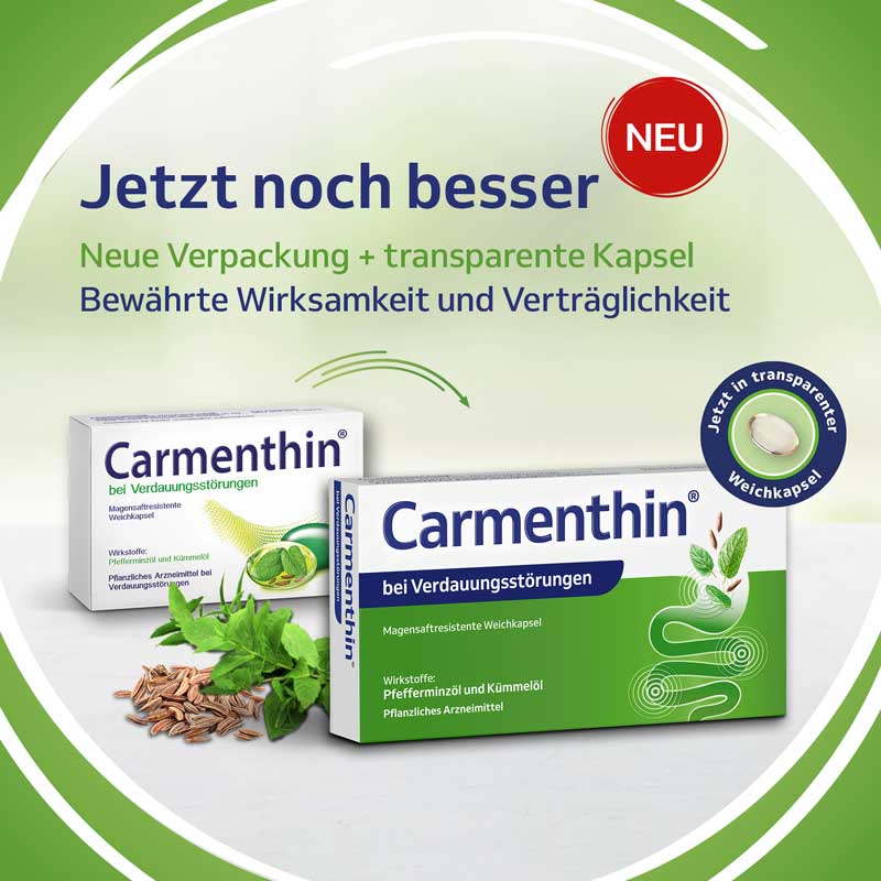 Carmenthin bei Verdauungsstörungen 14 St Magensaftresistente Weichkapseln
