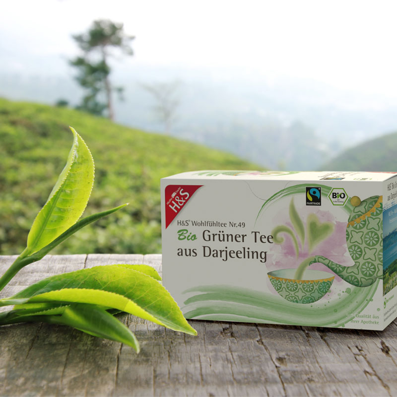 H&S Wohlfühltee Grüner Tee aus Darjeeling 20X2 g Filterbeutel