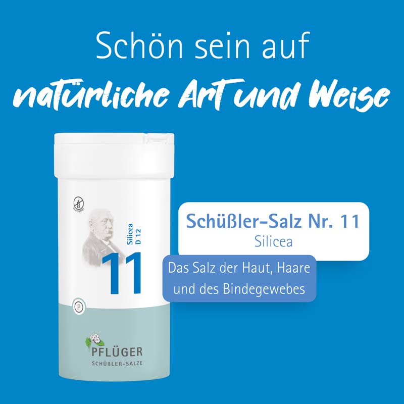 Schüßler-Salz Nr. 11 Silicea D12 400 St Tabletten
