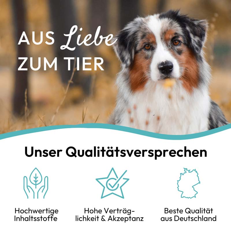 PHA MultiVitalStick für Hunde 7 St Kaudragees