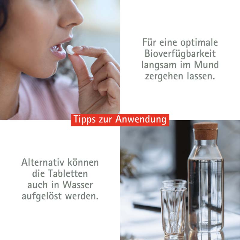 Schüßler-Salz Nr. 10 Natrium sulfuricum D6 400 St Tabletten