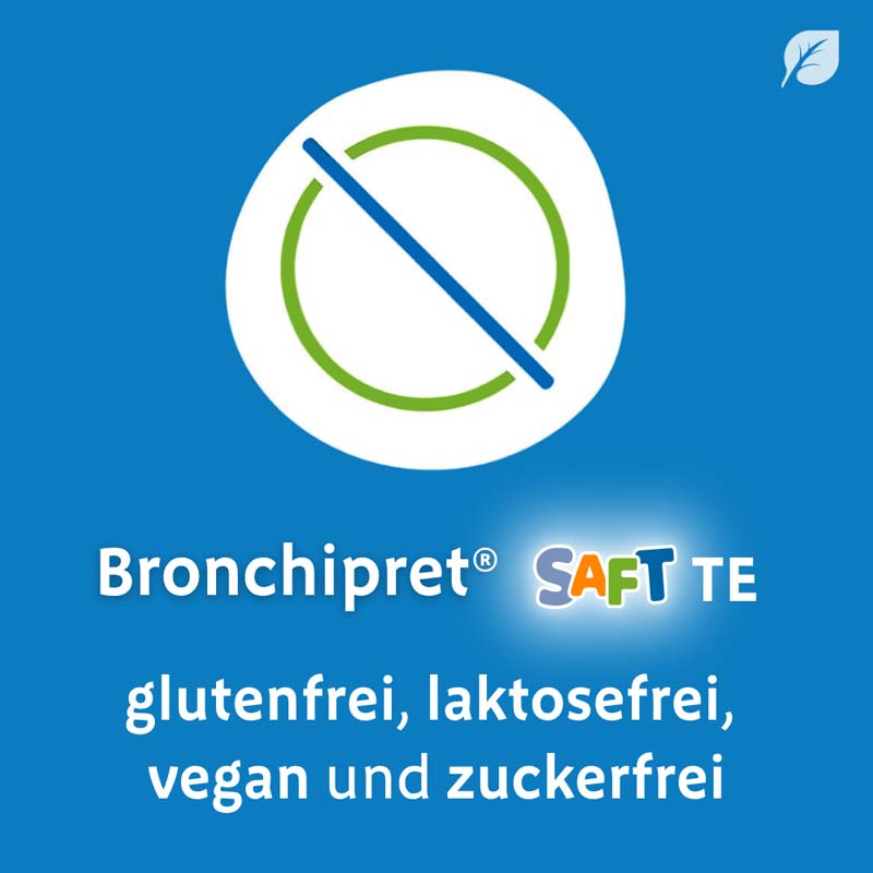 Bronchipret Saft TE 100 ml Saft