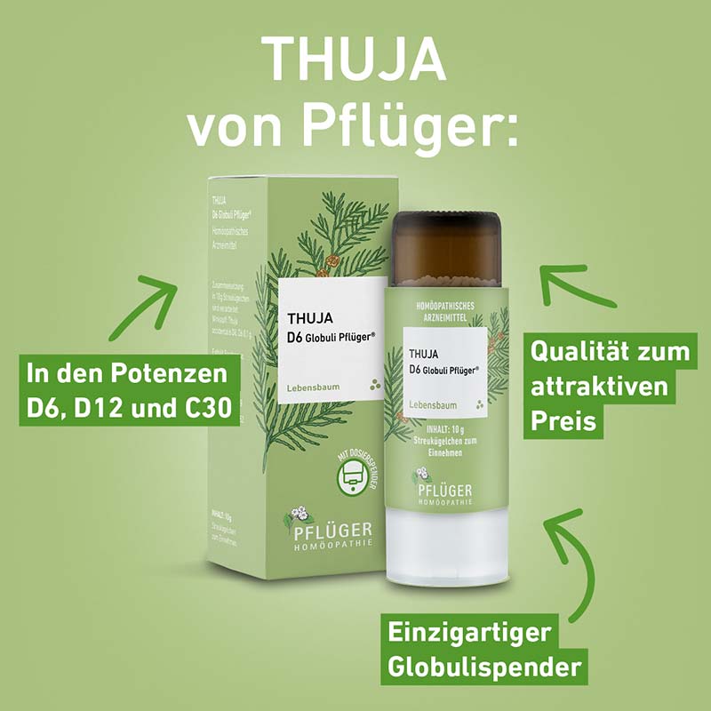 Thuja D6 Globuli Pflüger 10 g Globuli