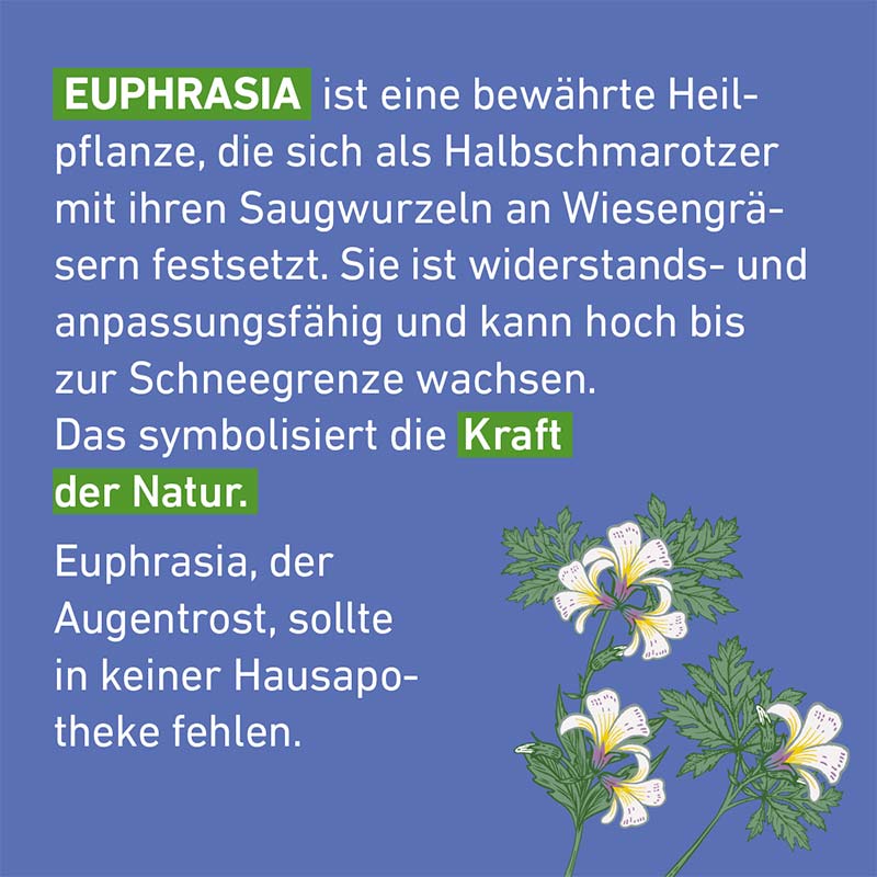 Euphrasia D12 Globuli Pflüger 10 g Globuli