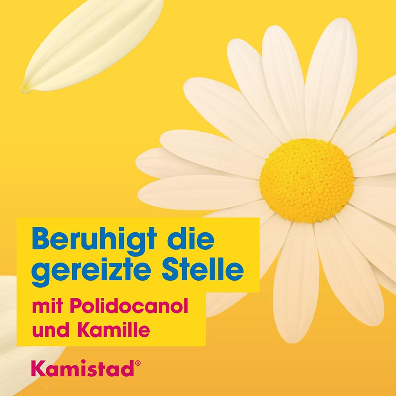 Kamistad Mundspray 20 ml Spray