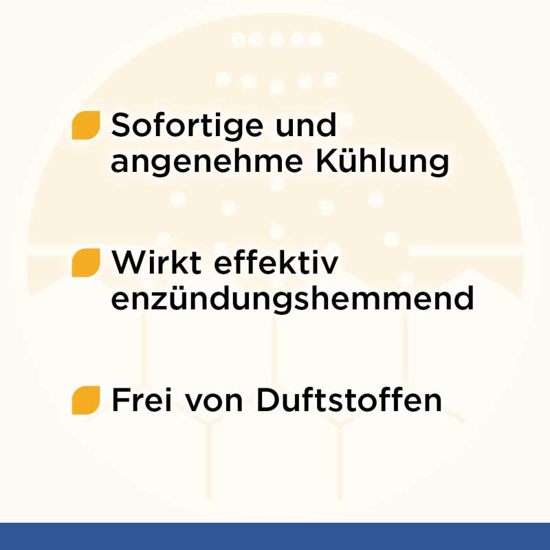 Soventol HydroCort 0,5% Spray bei Hautentzündungen 30 ml Spray