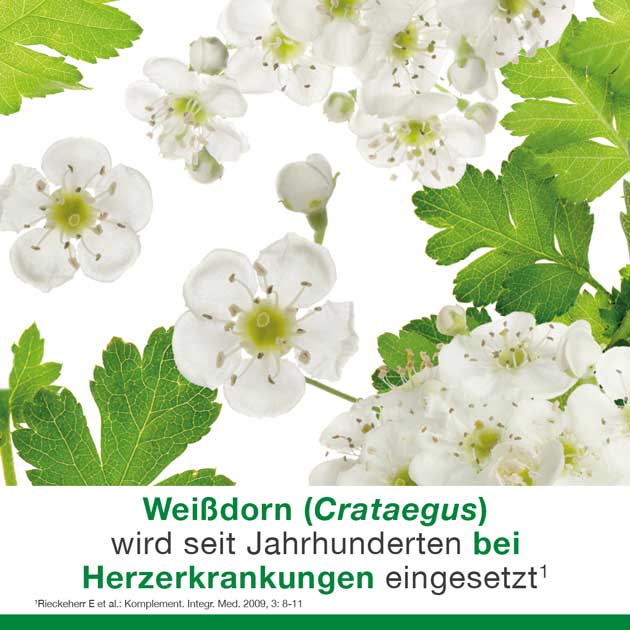 cratae-Loges 450 mg Weißdorn 200 St Filmtabletten