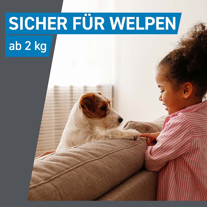 FRONTLINE SPOT ON HUND M gegen Zecken, Flöhe & Haarlinge  6 St Lösung