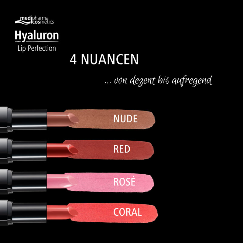 Hyaluron Lip Perfection rot 4 g
