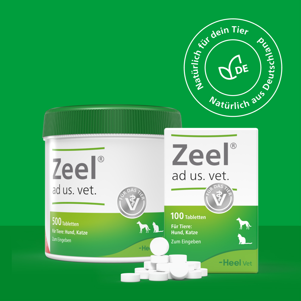 Zeel ad us. vet.  500 St Tabletten