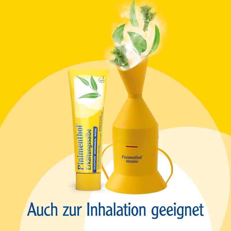 Pinimenthol Erkältungssalbe mit Eucalyptusöl, Kiefernnadelöl und Menthol 20 g Creme