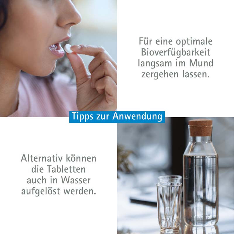 Schüßler-Salz Nr. 11 Silicea D12 400 St Tabletten