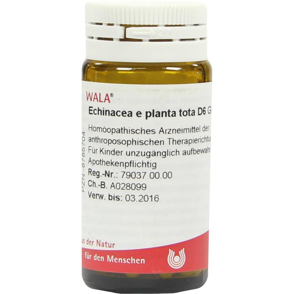 Echinacea e planta tota D6 Globuli 20 g Globuli