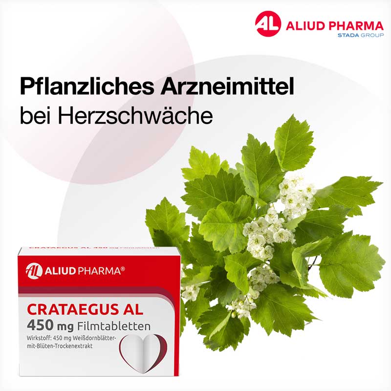 Crataegus AL 450 mg Filmtabletten bei nachlassender Herzleistung
